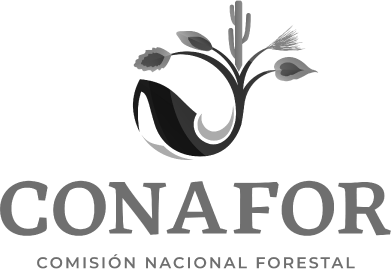 CONAFOR — Comisión Nacional Forestal